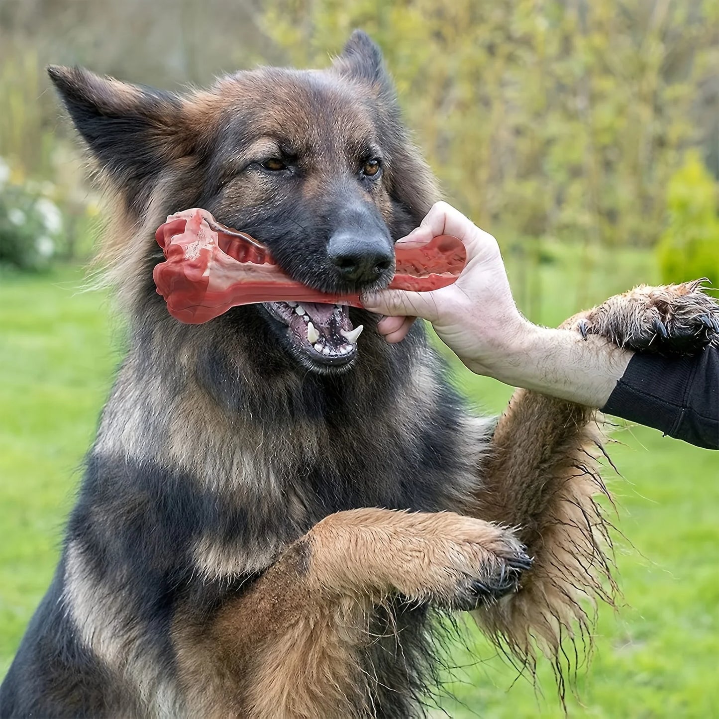 Durable dog chew Bones ; Natural rubber canine teeth cleaning;