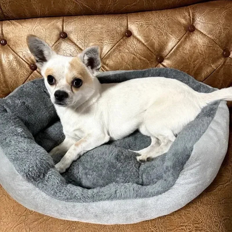 Soft Warm Dog Bed; Cushion Dog Bed