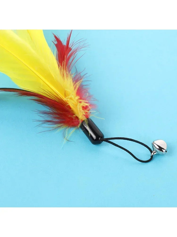 Cat Toy Bell, Feather & Fishing Rod : Cat Toys Interactive