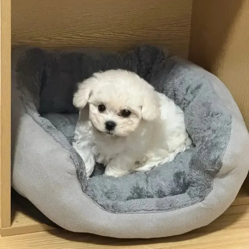 Soft Warm Dog Bed; Cushion Dog Bed