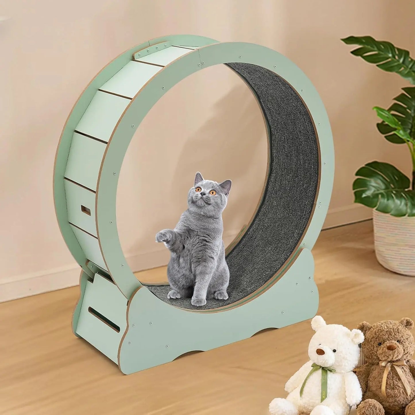 Cat Exercise Wheel; Cat Running Wheel;