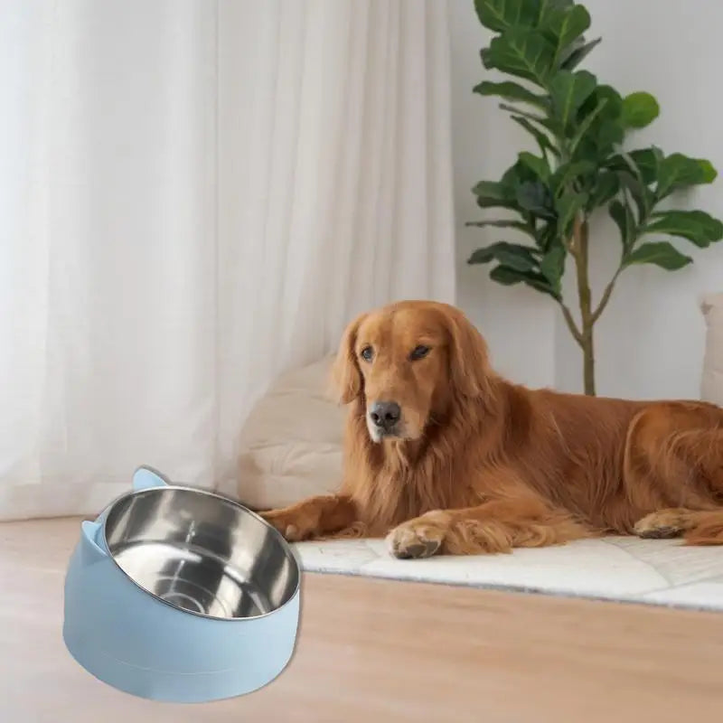 Heated Pet Bow;lPet Winter Heated Feed Cage Bowl; Constant Temperature Heating; l