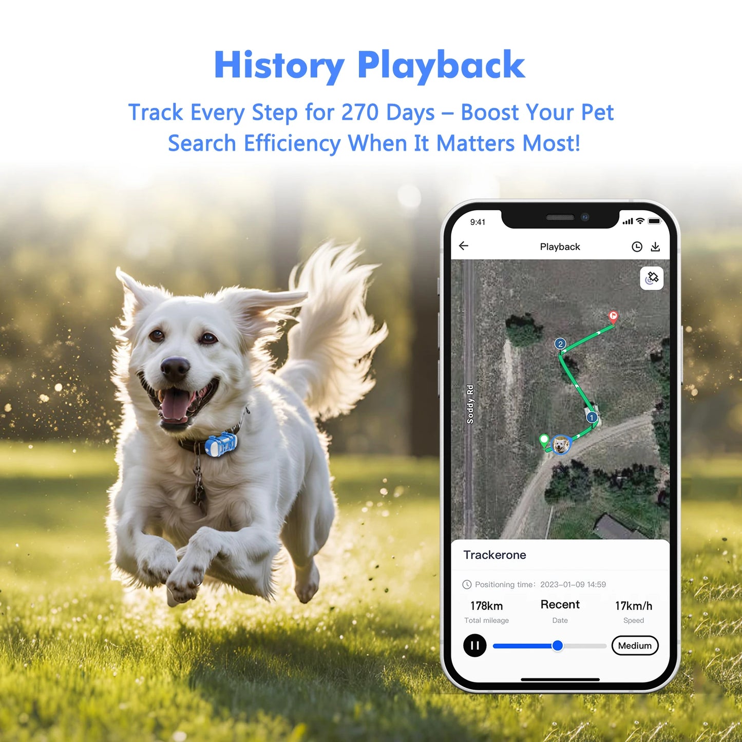 4G Dog/ Cat GPS Tracker - Waterproof Smart Locator ;