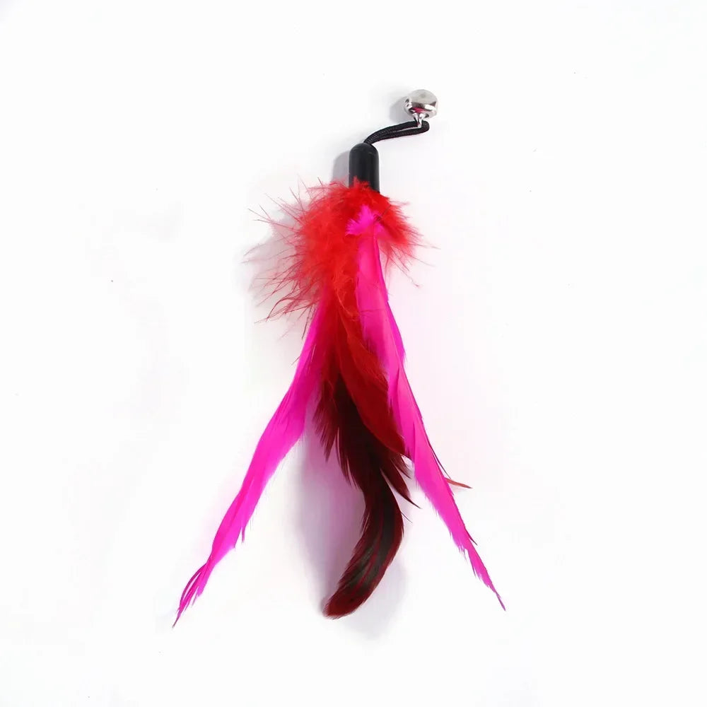 Cat Toy Bell, Feather & Fishing Rod : Cat Toys Interactive