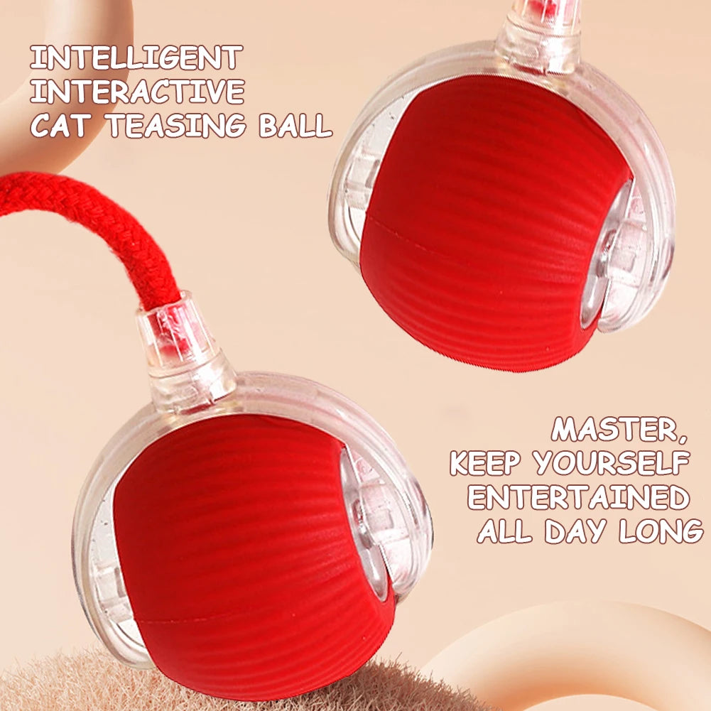 2PC/1PC Cat Interactive Ball; Automatic Rolling Ball ;