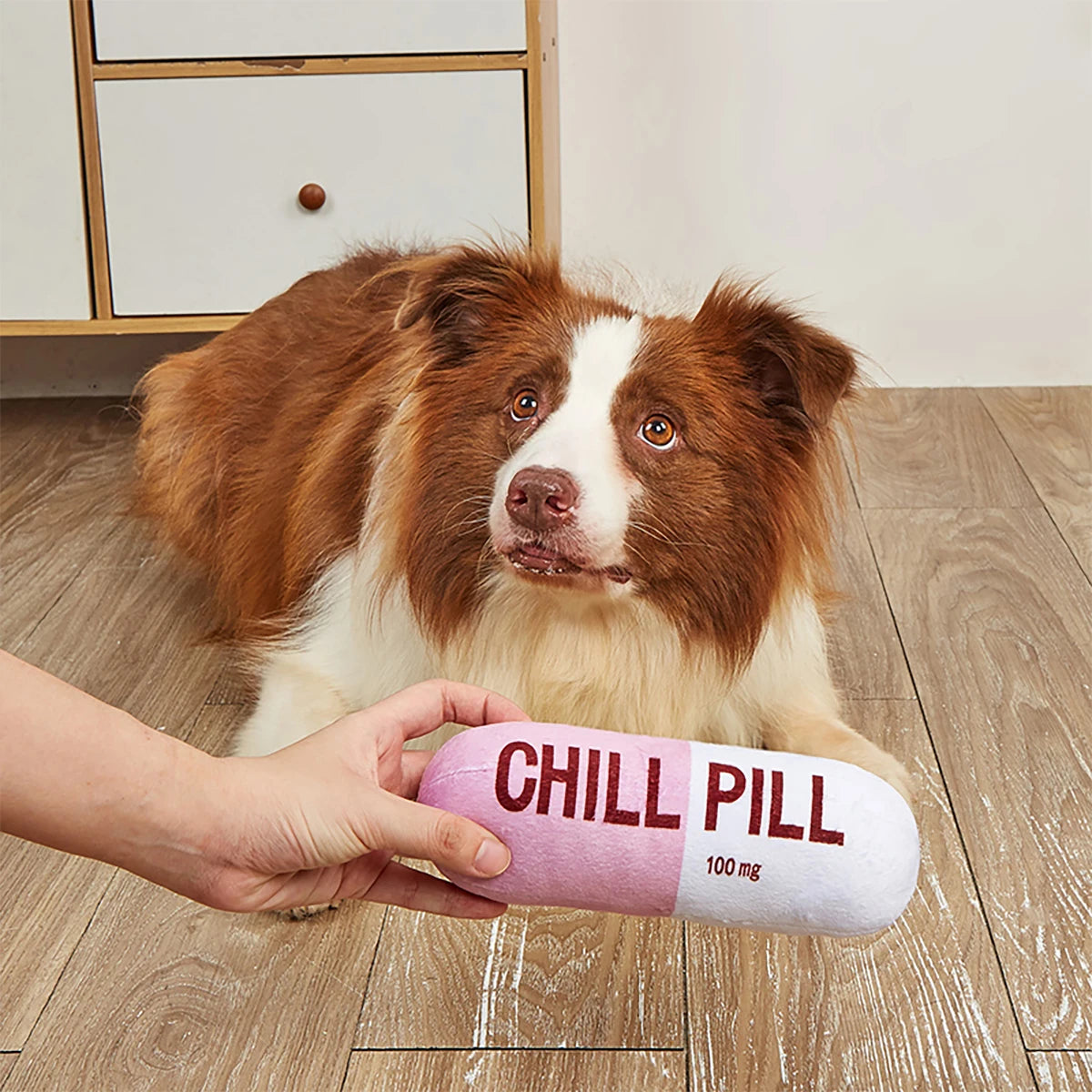 Interactive Plush Pill-Shaped Dog Toy with Squeaker;