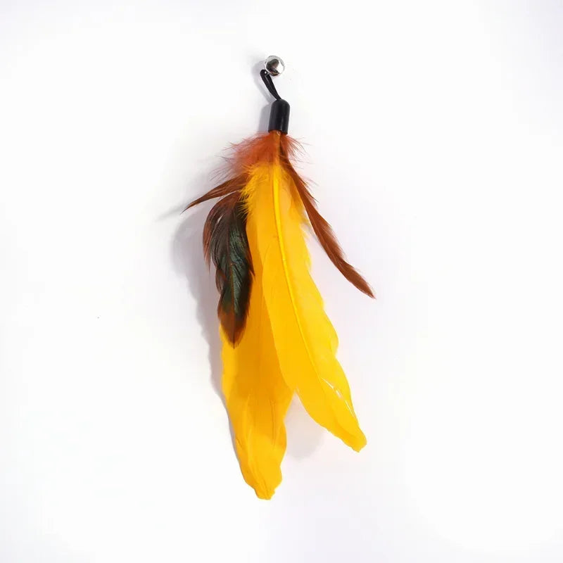 Cat Toy Bell, Feather & Fishing Rod : Cat Toys Interactive