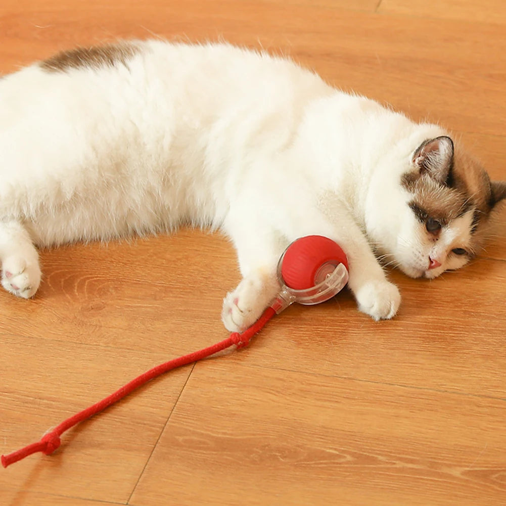2PC/1PC Cat Interactive Ball; Automatic Rolling Ball ;