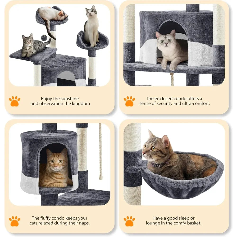 79inMulti-Level Tower;Condo / Kittens& Cats;