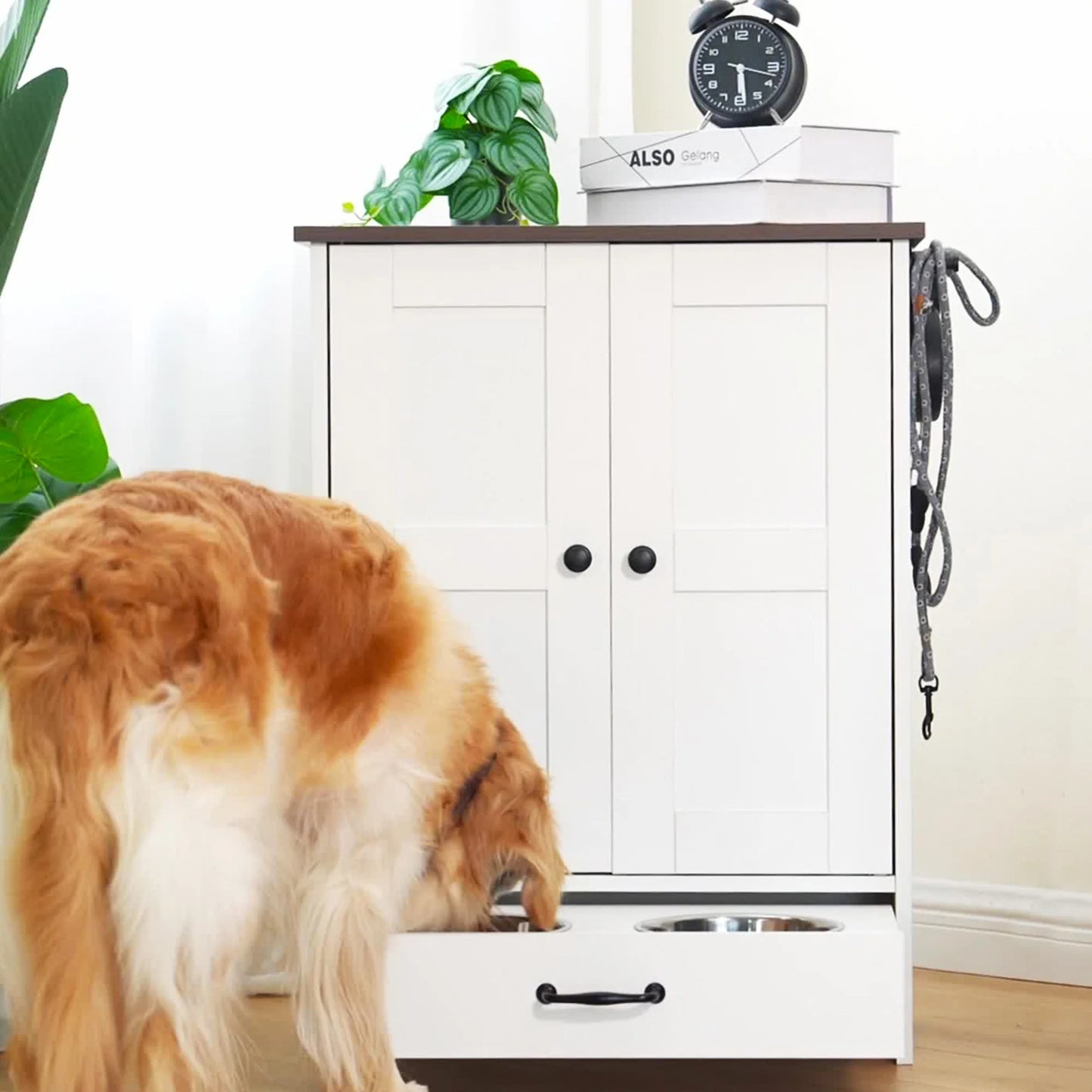 Pet Feeding Station; Food Storage Cabinet w/ Hooks Hidden Detachable Med. Stainless Steels Pet Bowls;