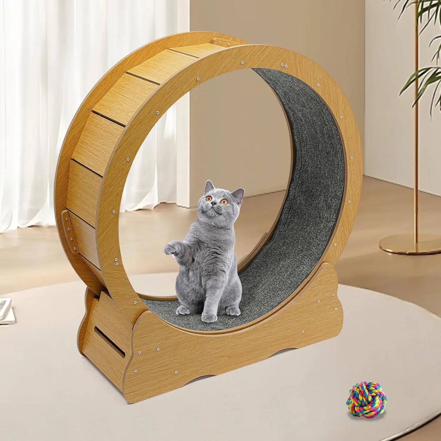 Cat Exercise Wheel; Cat Running Wheel;