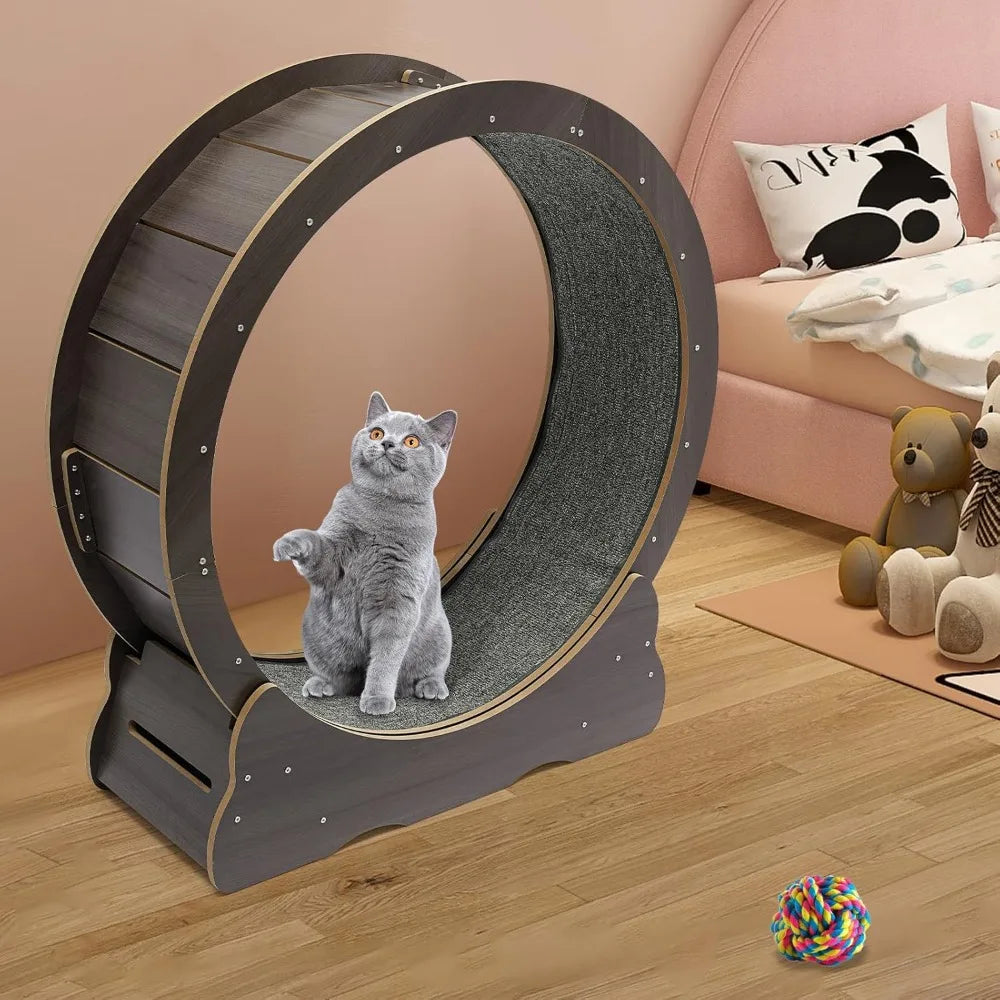 Cat Exercise Wheel; Cat Running Wheel;