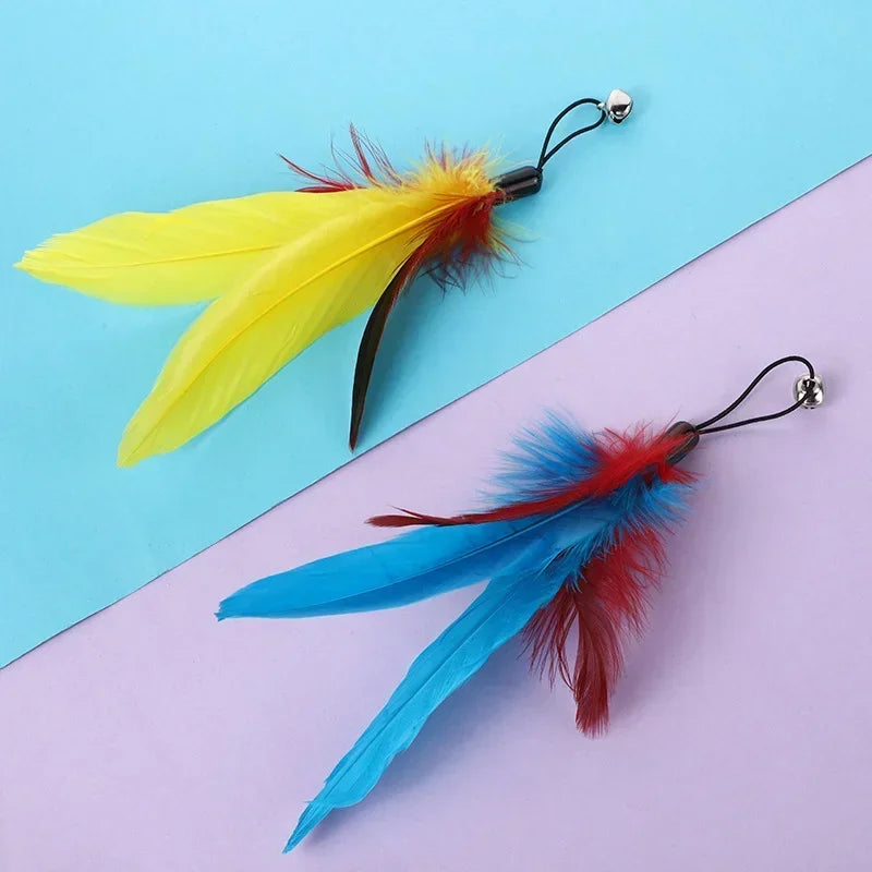 Cat Toy Bell, Feather & Fishing Rod : Cat Toys Interactive