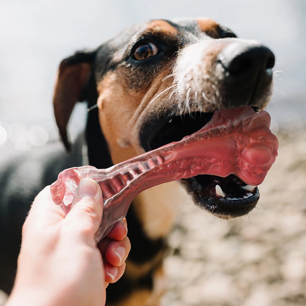 Toys Aggressive Chewers; Bone-Shaped Indestructible Rubber ;