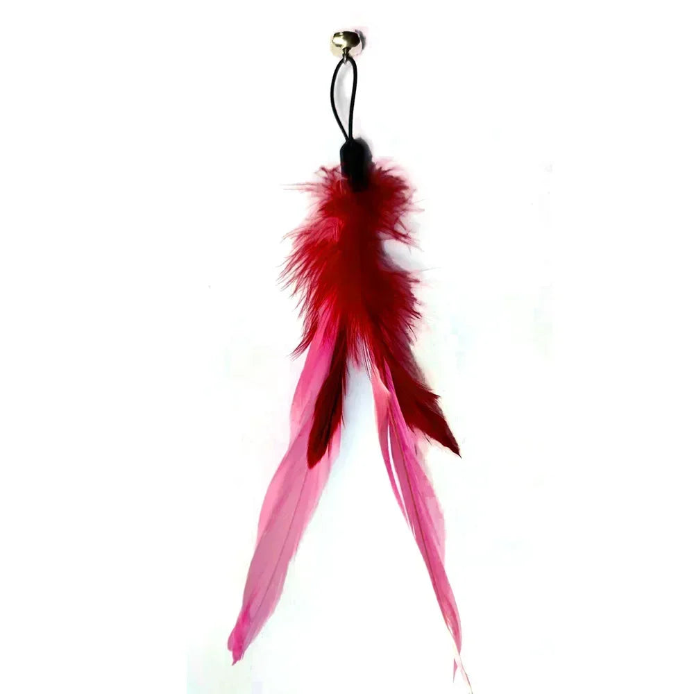 Cat Toy Bell, Feather & Fishing Rod : Cat Toys Interactive