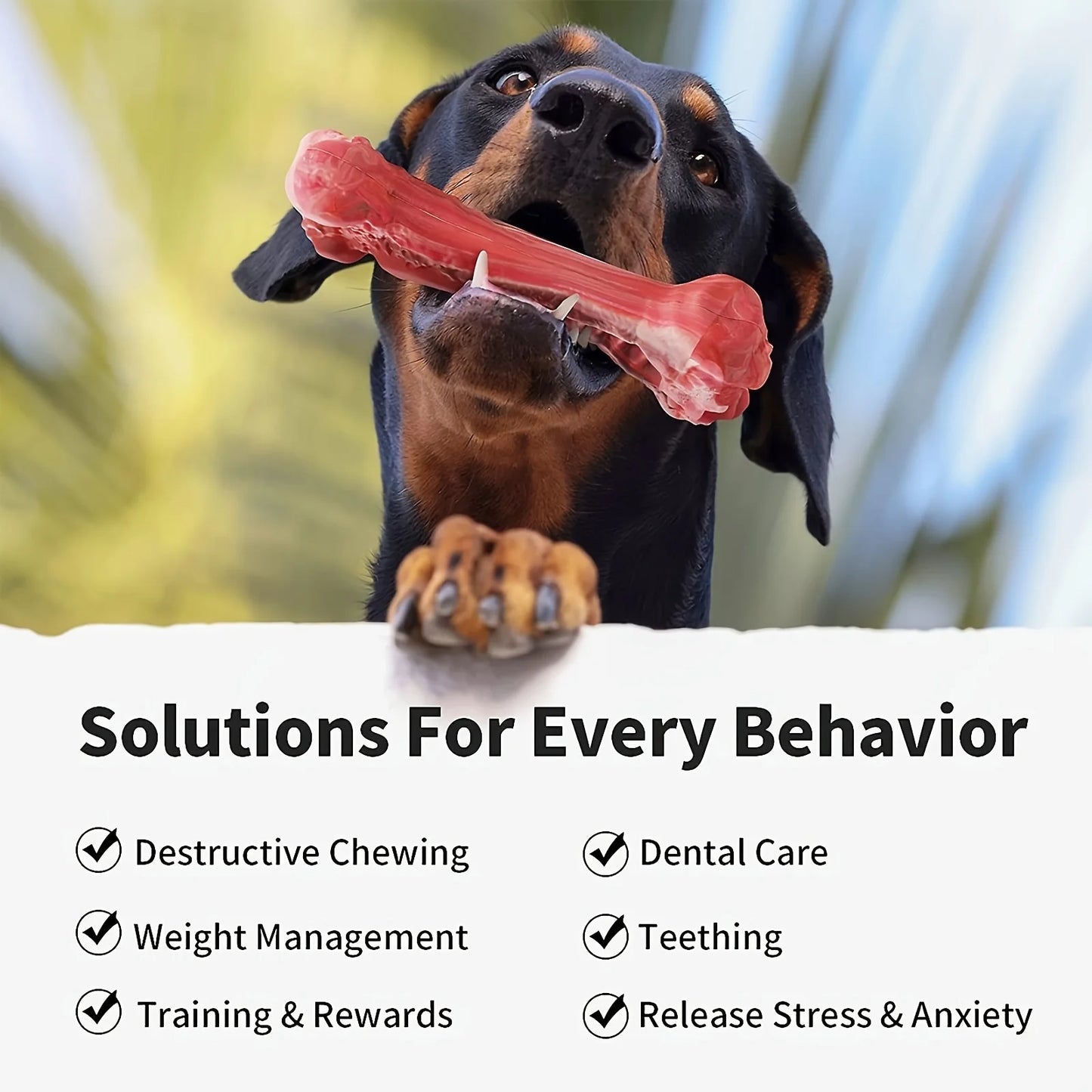 Durable dog chew Bones ; Natural rubber canine teeth cleaning;