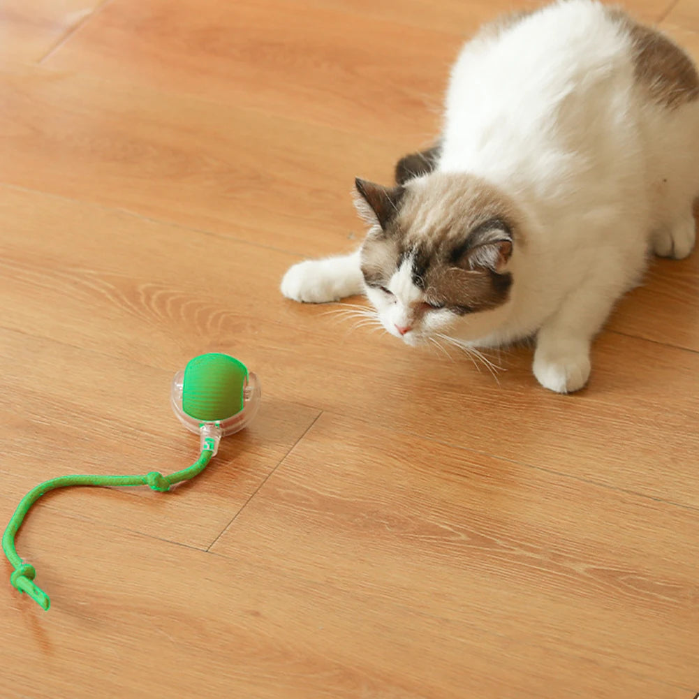 2PC/1PC Cat Interactive Ball; Automatic Rolling Ball ;