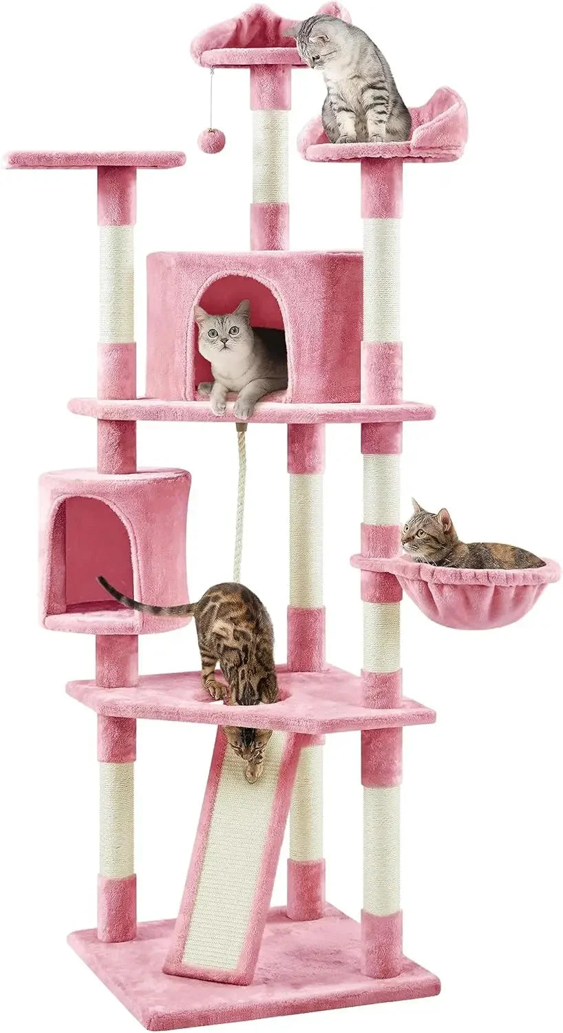79inMulti-Level Tower;Condo / Kittens& Cats;