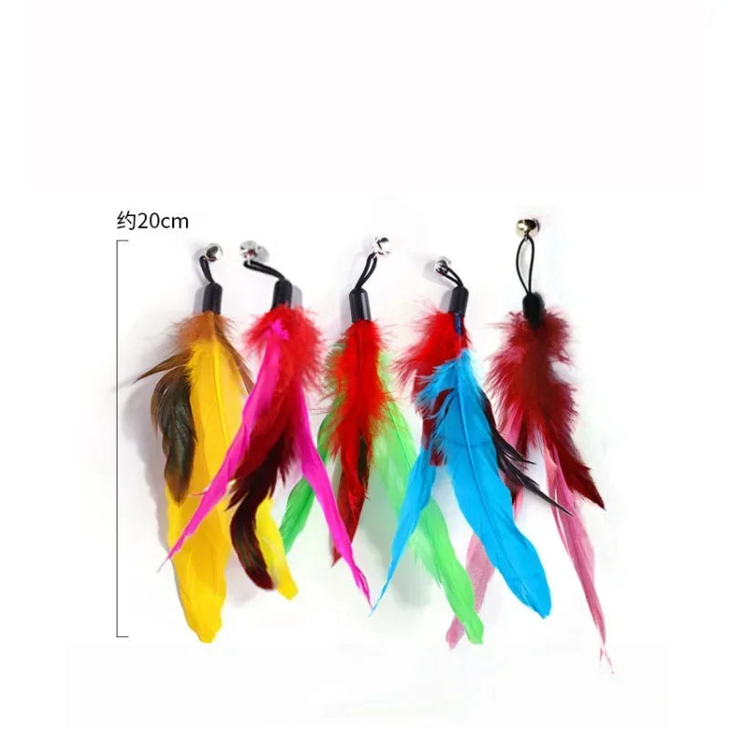 Cat Toy Bell, Feather & Fishing Rod : Cat Toys Interactive