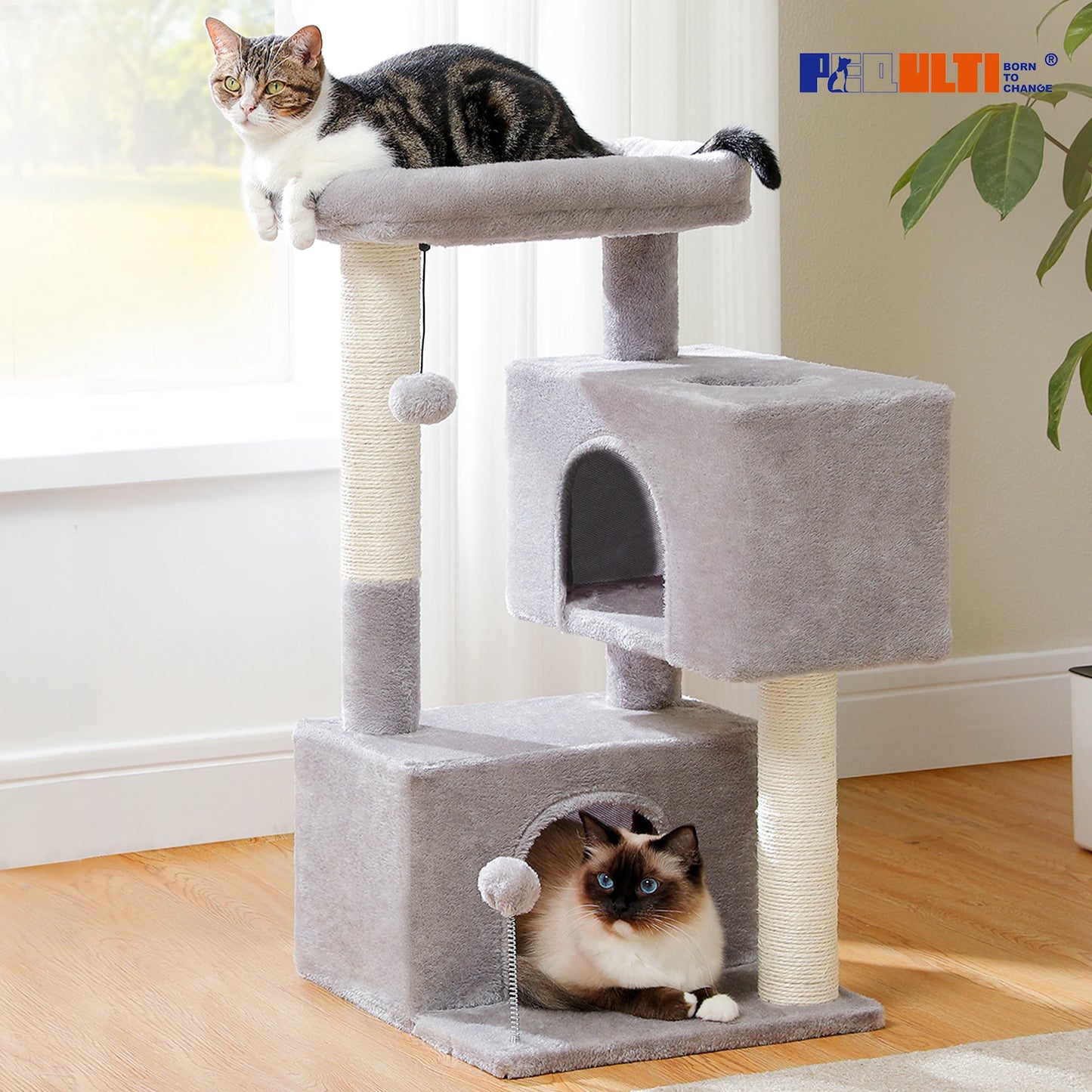 Cat Tree/ Tower Double Spacious Condos Indoor Cats