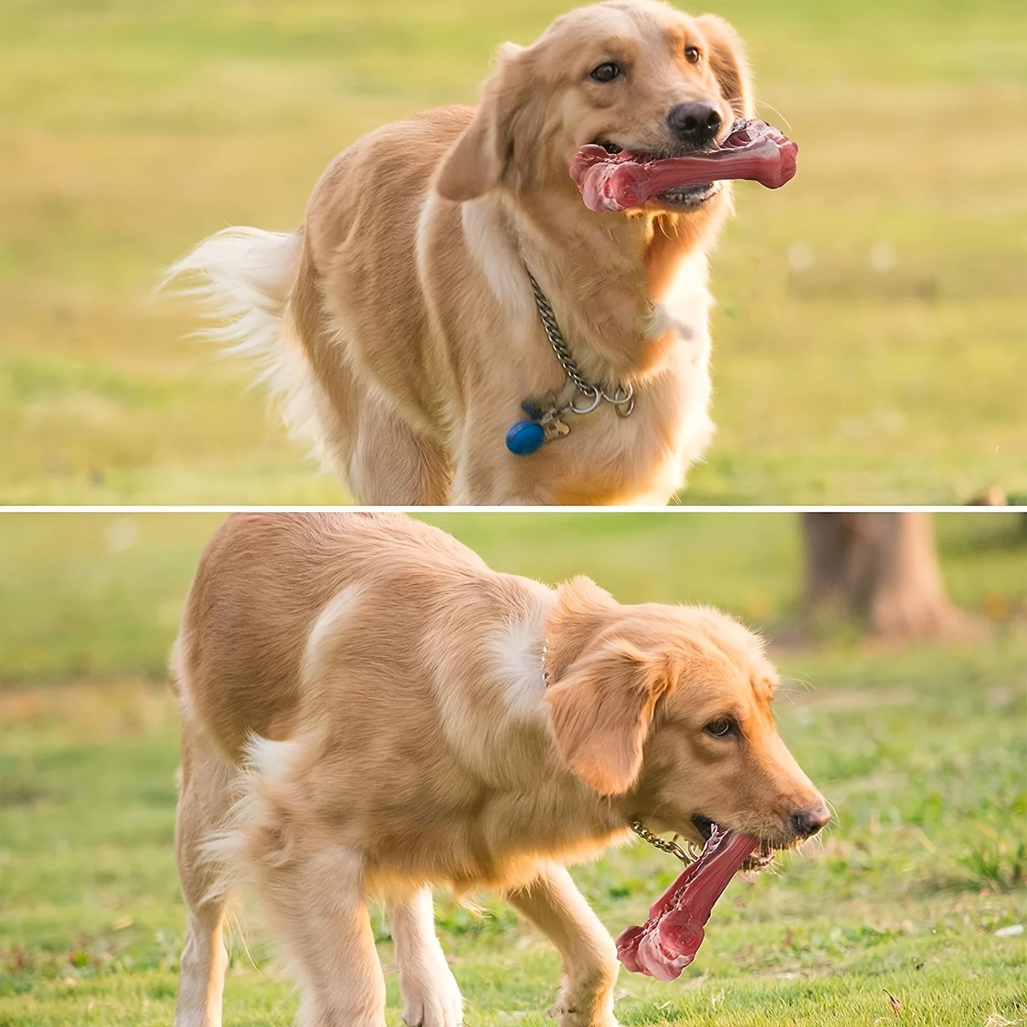 Durable dog chew Bones ; Natural rubber canine teeth cleaning;