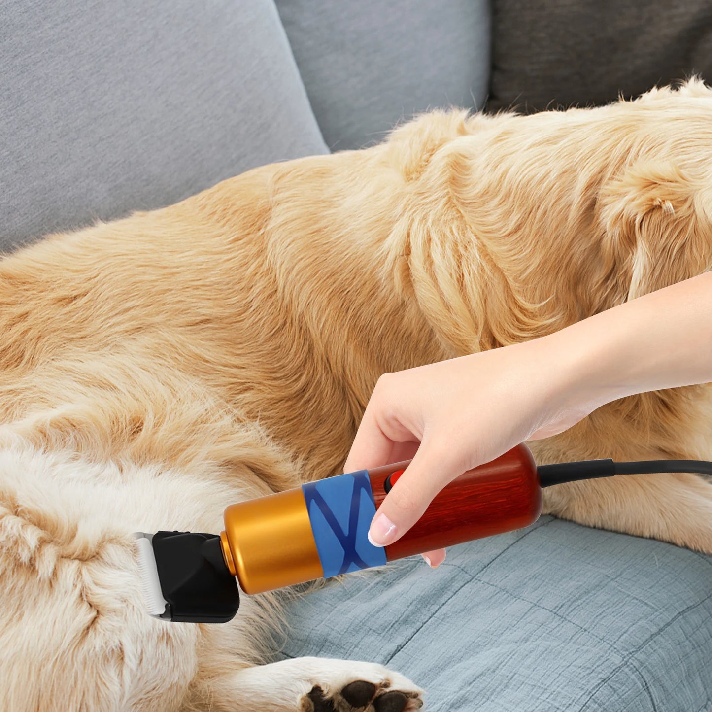 Pet Hair Clipper Low Noise High-efficiency; Professional Electric Variable Speed Shearing / Sheep Dogs Cats Pet;