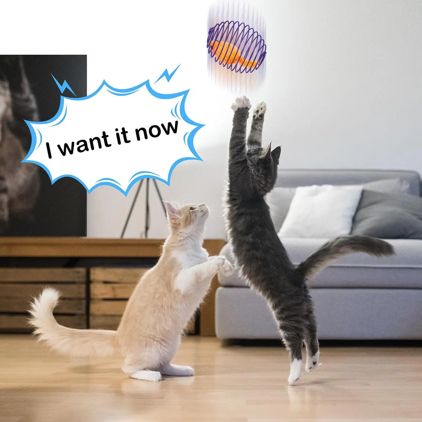 5 cat spring balls, stretchable spring toys,