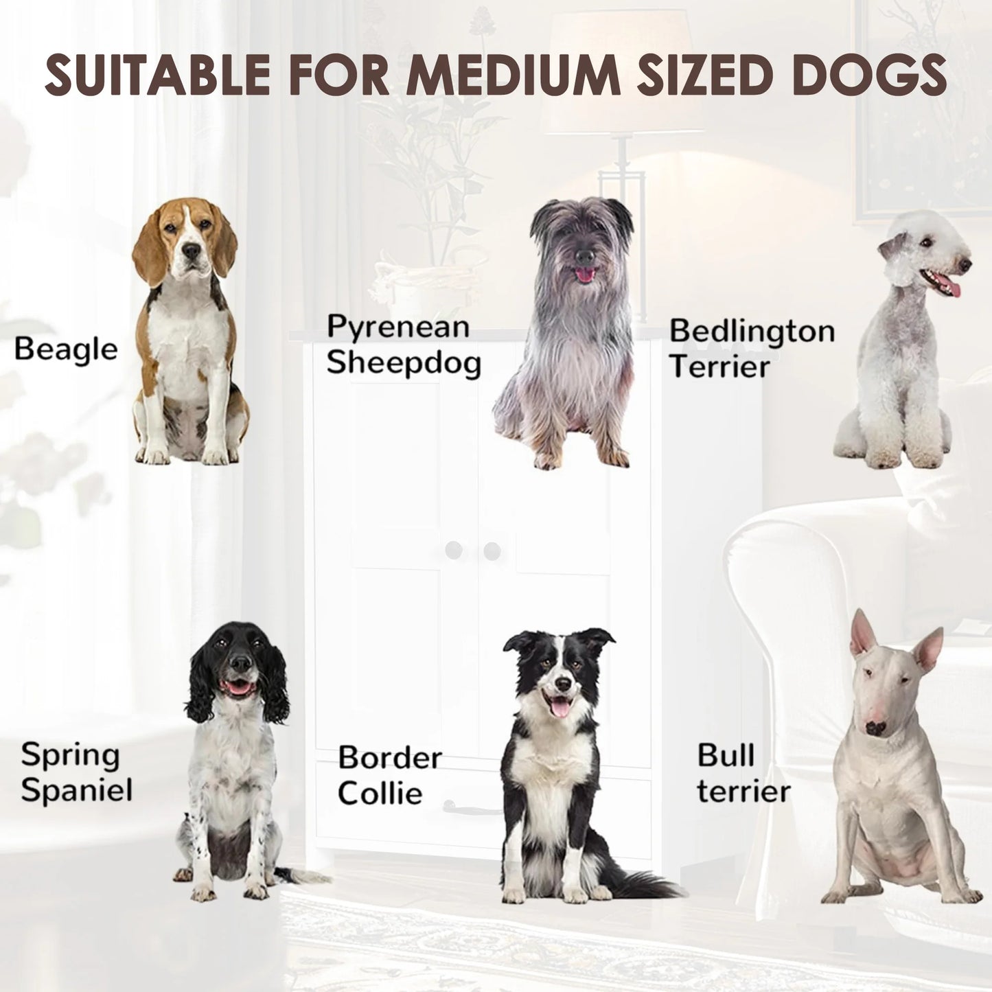 Pet Feeding Station; Food Storage Cabinet w/ Hooks Hidden Detachable Med. Stainless Steels Pet Bowls;