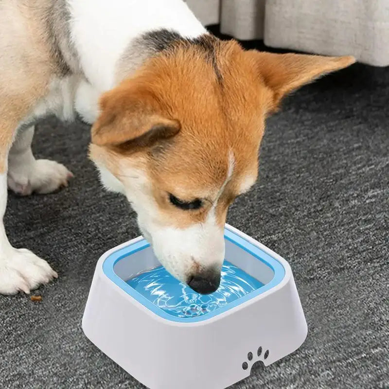 No Drip Pet Water Bowl; Large Capacity Anti-Slip Water Feeder ;