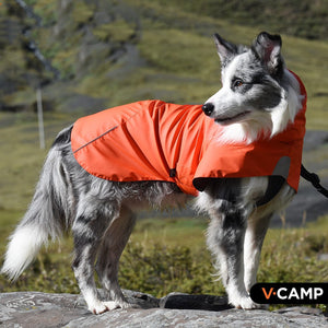 Experience the Great Outdoors with Our Waterproof Windproof Shell Jacket
