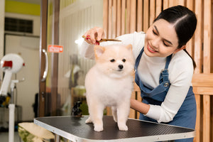 Essential Grooming Care For Healthy FURR