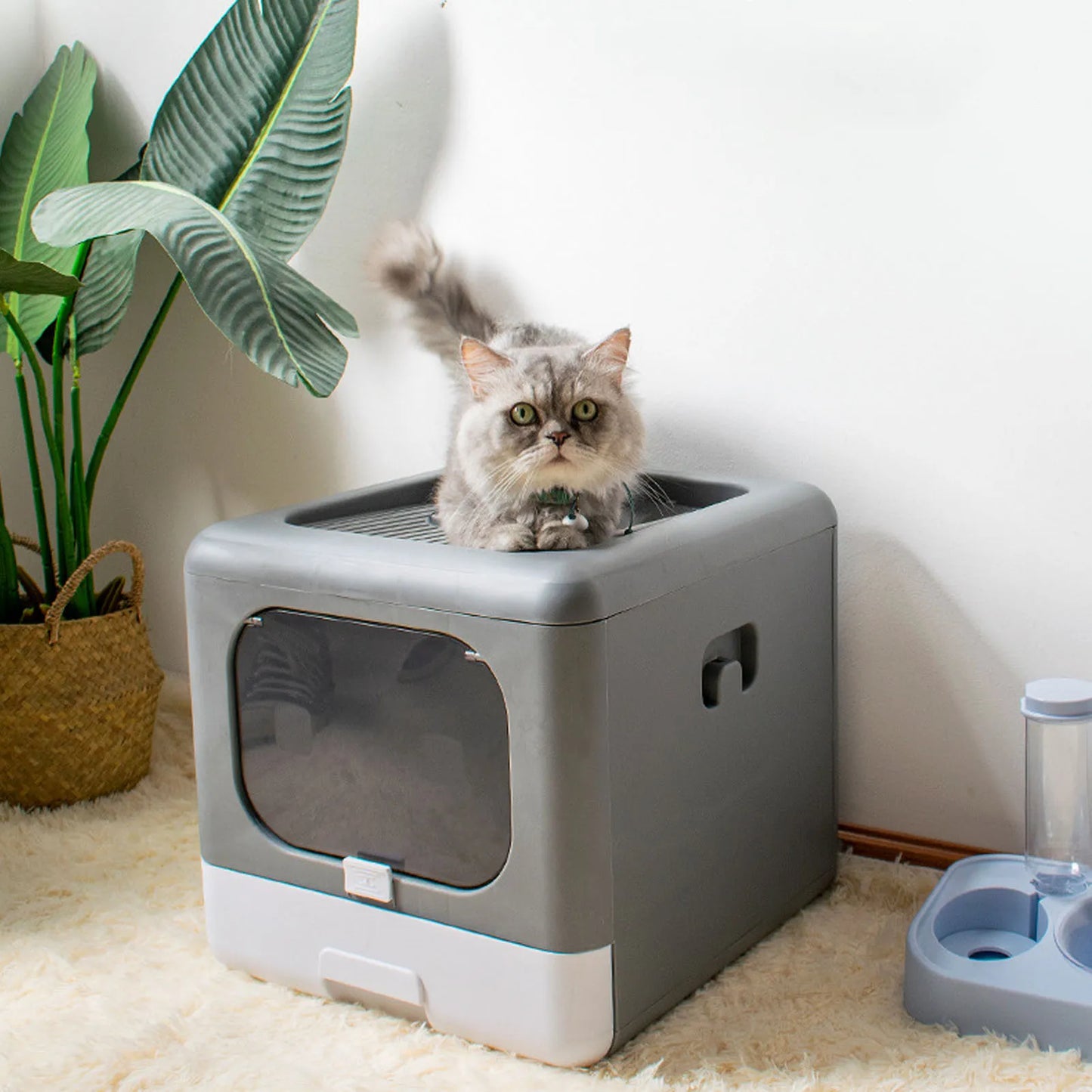 Cat Litter Box Large; Plastic Spill Proof Cat Toilet