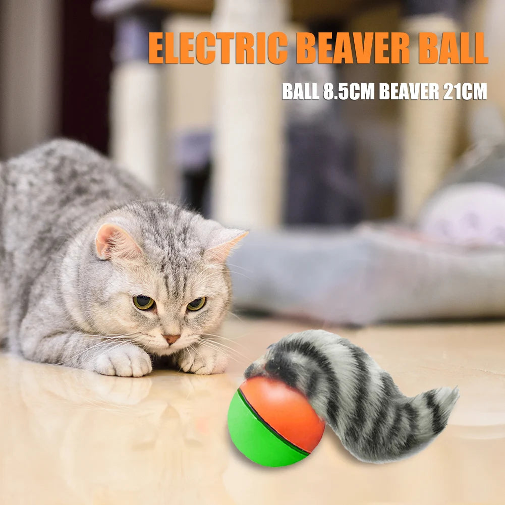 Electric Beaver/ Weasel Rolling Ball; Chasing Toy;