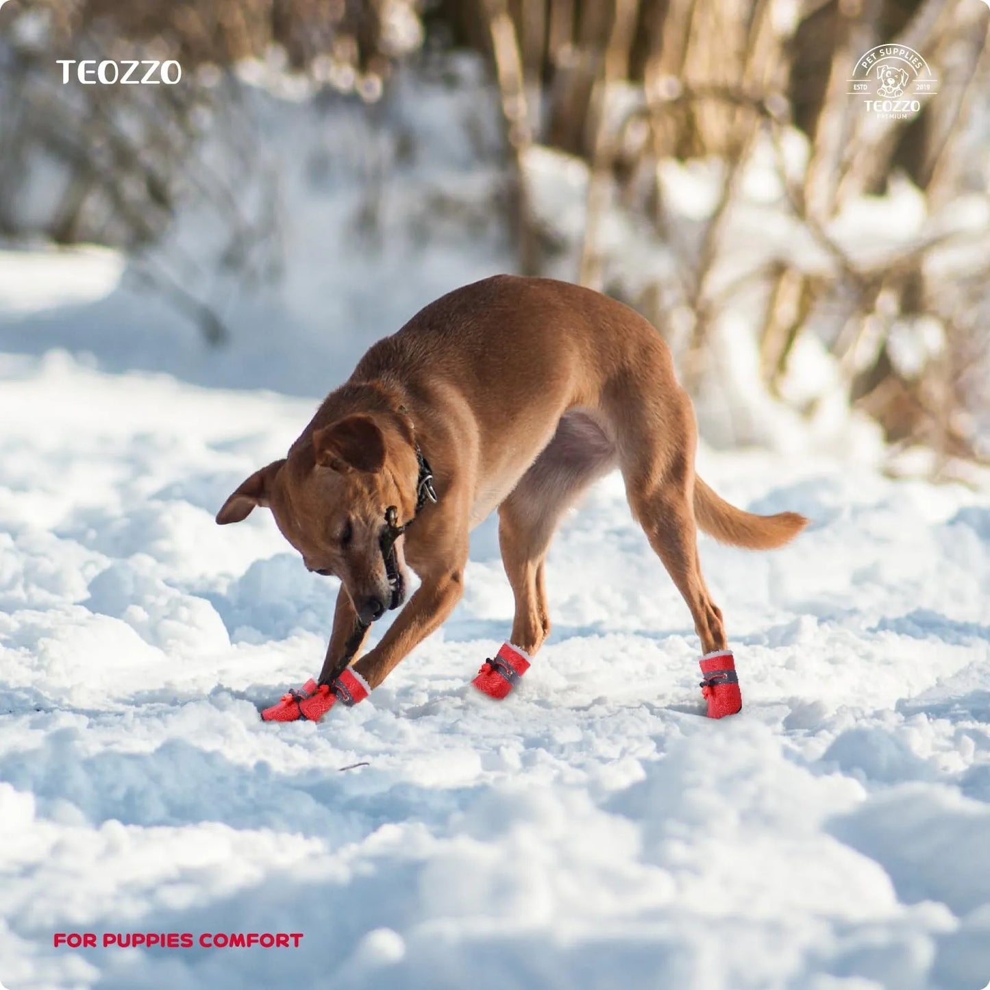 Dog Shoes That Don'T Fall Off;  Non-Slip;