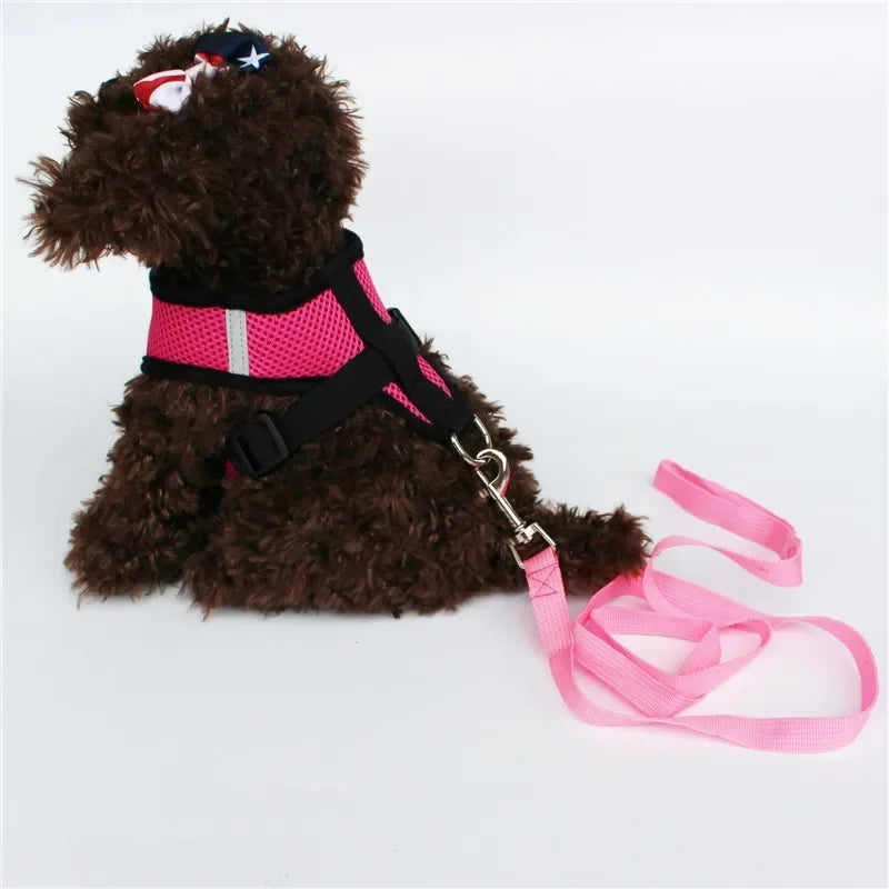 Dog Adjustable Harness / Vest & Walking Lead;