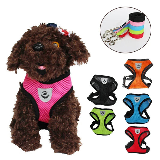 Dog Adjustable Harness / Vest & Walking Lead;