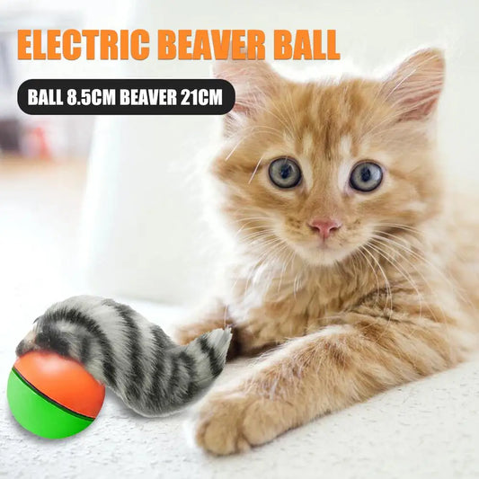 Electric Beaver/ Weasel Rolling Ball; Chasing Toy;