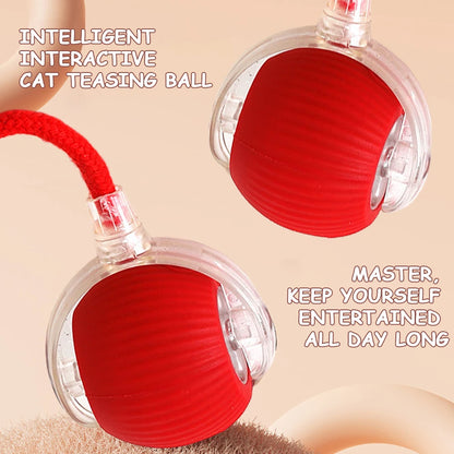2PC/1PC Cat Interactive Ball;  Automatic Rolling Ball ;