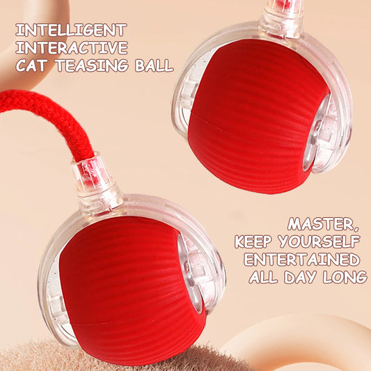 2PC/1PC Cat Interactive Ball;  Automatic Rolling Ball ;