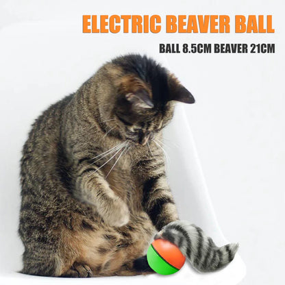 Electric Beaver/ Weasel Rolling Ball; Chasing Toy;