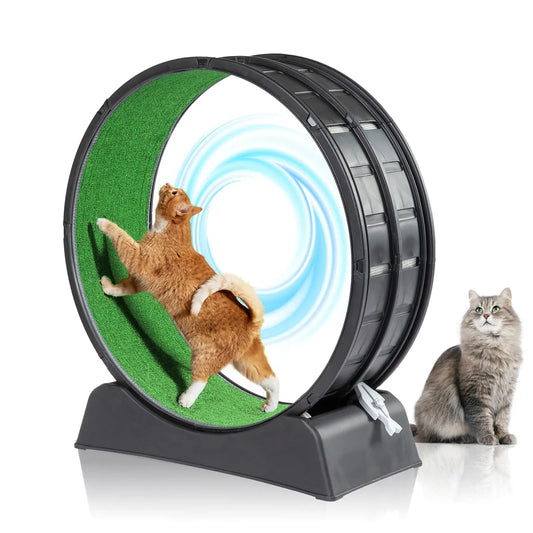 Cat Exercise Wheel for indoor Use , Treadmill w/ Carpeted Runway ;