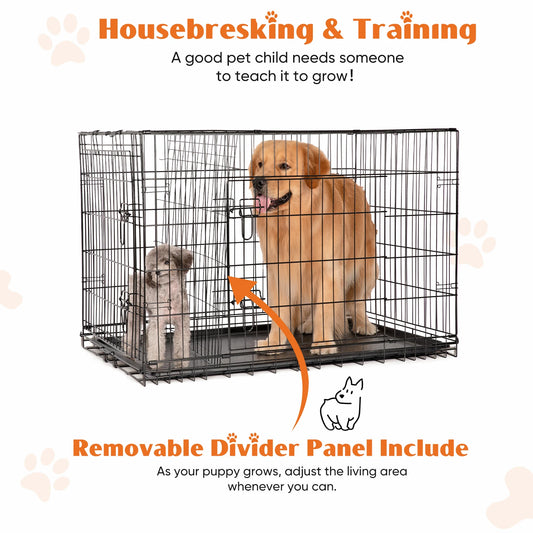 Double Door Folding Metal Wire Crate; Removable tray;
