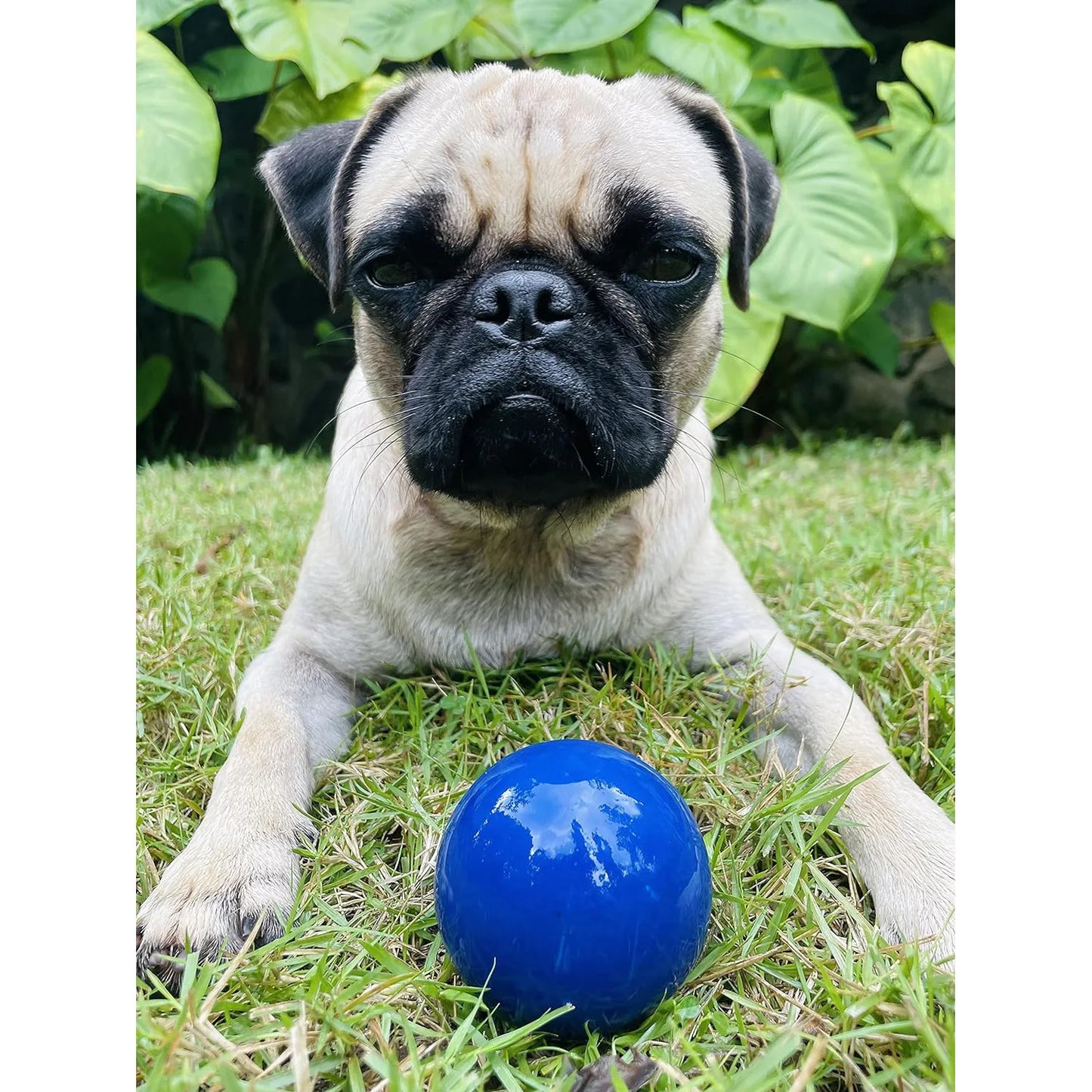 SuperChewy Tough Dog Ball;Strong Natural Rubber;