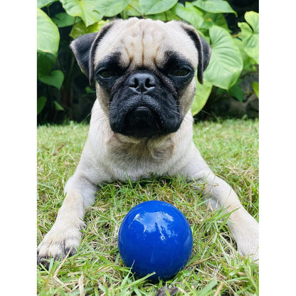 SuperChewy Tough Dog Ball;Strong Natural Rubber;