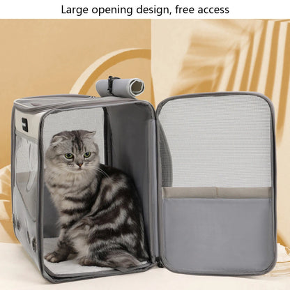 Carrier Pet Backpack Breathable; Transparent Portable Foldable Large Pet Carrier