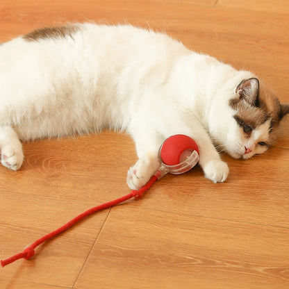 2PC/1PC Cat Interactive Ball;  Automatic Rolling Ball ;