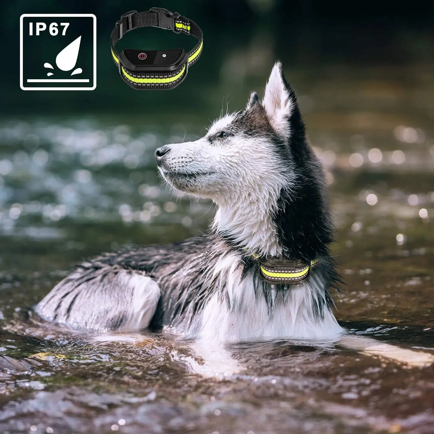 Dog Training Collar W/ Remote; Shock Electric Vibrator Sound USB Rechargeable
