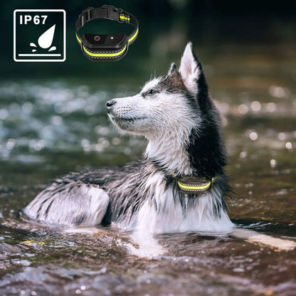 Dog Training Collar W/ Remote; Shock Electric Vibrator Sound USB Rechargeable
