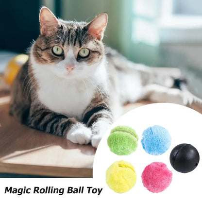 5pcs Pet Electric Balls Battery Powered ;