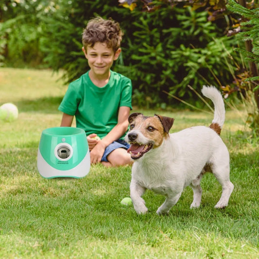 Automatic Dog Ball Launcher w/ 6 Tennis Balls ;